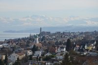 Willkommen bei der SP Thalwil